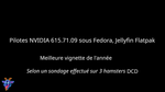 Pilotes NVIDIA 615.71.09 sous Fedora, Jellyfin Flatpak : du son mais pas d'images
