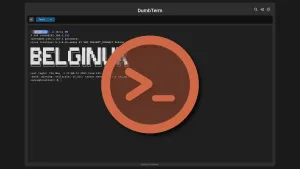 Installer DumbTerm avec Docker